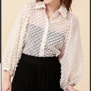 Textured Dot Fashion Blouse With Puff Sleeves